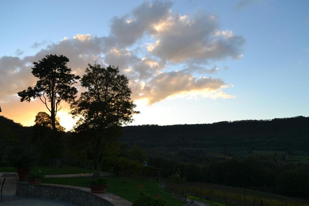 Agriturismo Lapone Ορβιέτο Εξωτερικό φωτογραφία